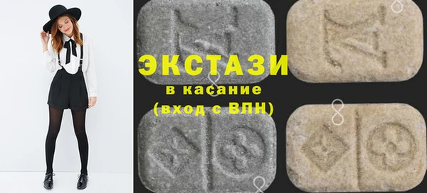 индика Бородино