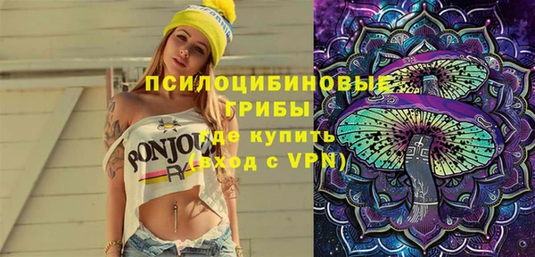 индика Бородино