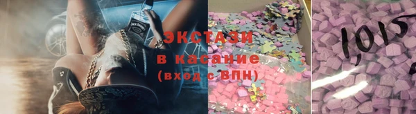 индика Бородино