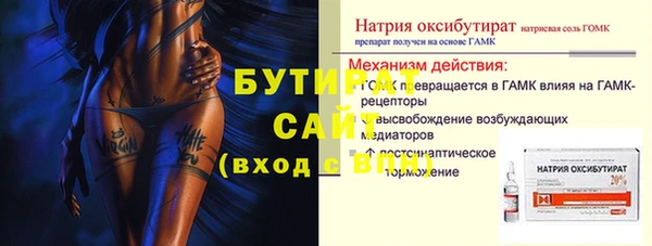 индика Бородино