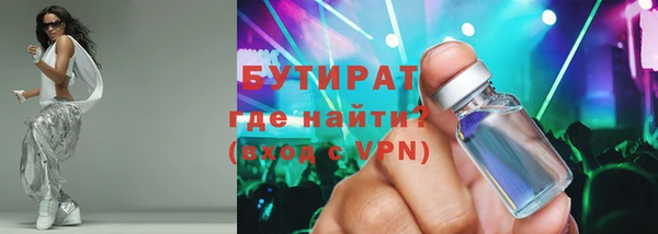 индика Бородино