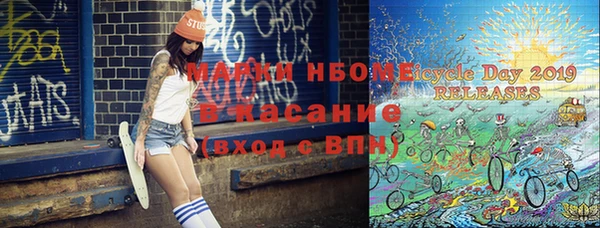 индика Бородино