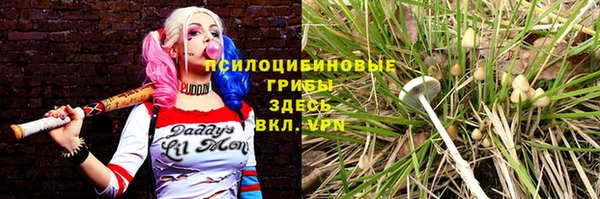 индика Бородино