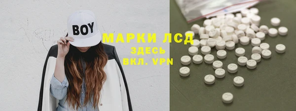 индика Бородино