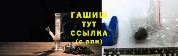 индика Бородино