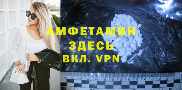 индика Бородино