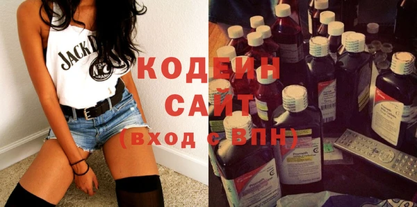 индика Бородино