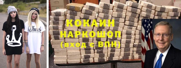 индика Бородино