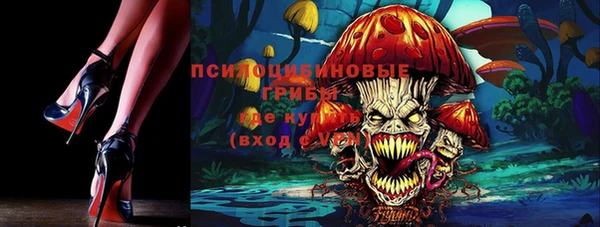 твердый Бронницы