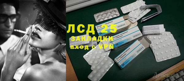 индика Бородино