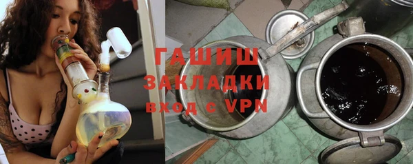 индика Бородино