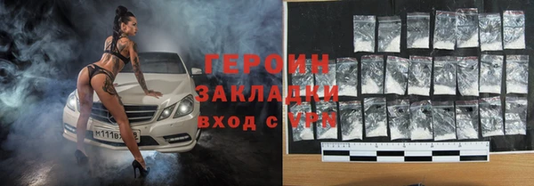 индика Бородино
